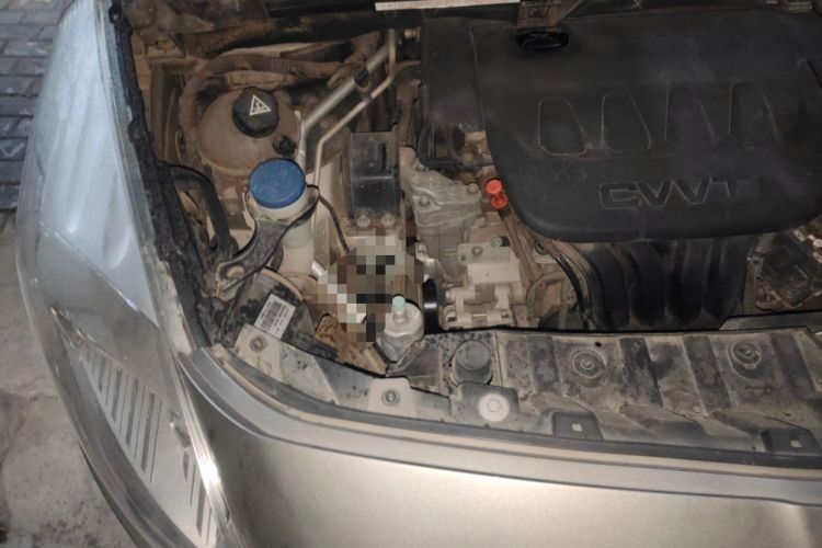 Used Peugeot 3008 2015 2.0L Automatic Trend Edition Engine Bay Right