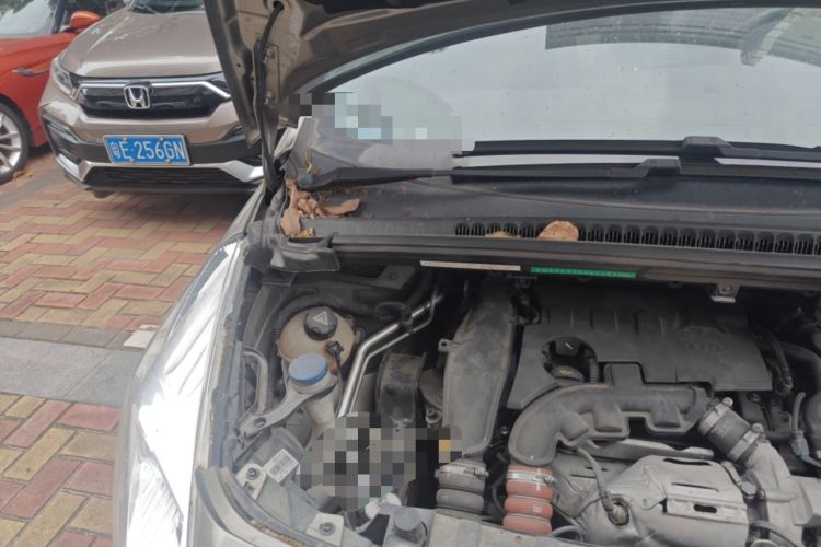 Used Peugeot 3008 2015 1.6THP Automatic Trend Edition Engine Bay Right