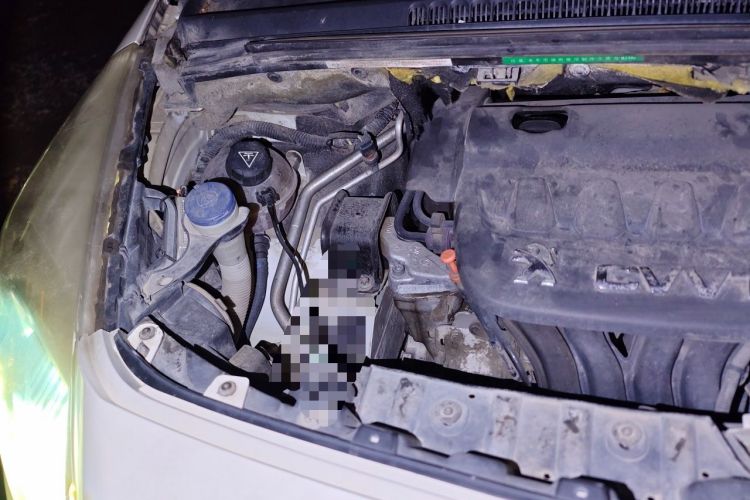 Used Peugeot 3008 2015 2.0L Automatic Classic Edition Engine Bay Right