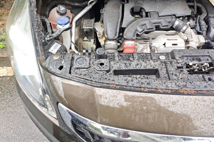 Used Peugeot 3008 2016 1.6THP Automatic Prestige Edition Engine Bay Right