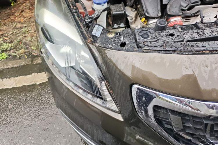 Used Peugeot 3008 2016 1.6THP Automatic Prestige Edition Right Front Headlight