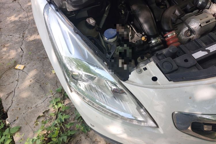 Used Peugeot 3008 2016 1.6THP Automatic Classic Edition Engine Bay Right