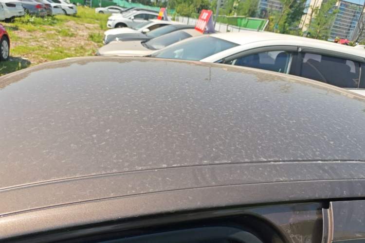 Used Peugeot 301 2014 1.6L Manual Comfort Edition Roof