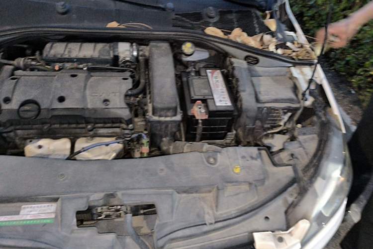 Used Peugeot 301 2014 1.6L Manual Comfort Edition Engine Bay Left