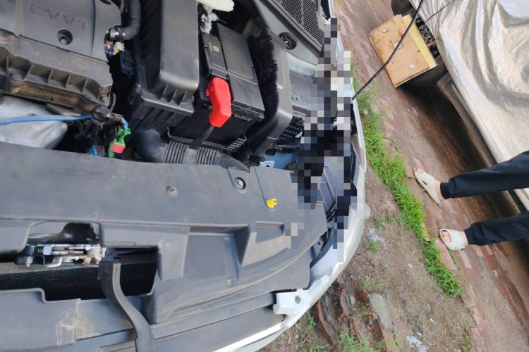 Used Peugeot 301 2014 1.6L Automatic Comfort Edition Engine Bay Left