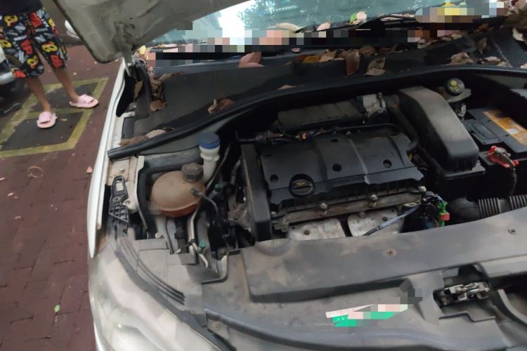 Used Peugeot 301 2014 1.6L Manual Comfort Edition Engine Bay Right