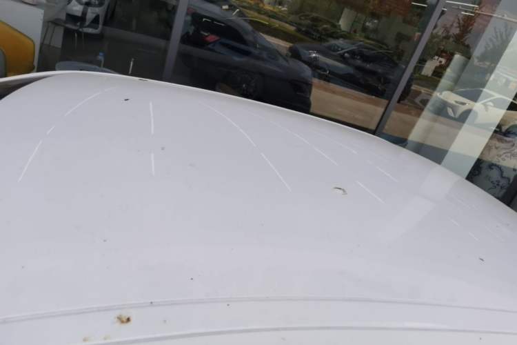Used Peugeot 301 2014 1.6L Automatic Comfort Edition Roof