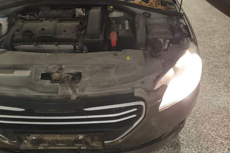 Used Peugeot 301 2016 1.6L Manual Comfort Edition Engine Bay Left