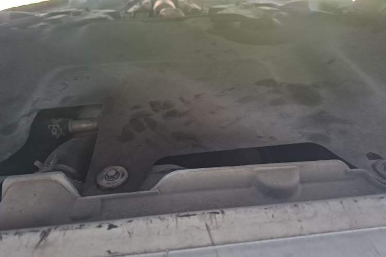 Used Peugeot 301 2016 1.6L Automatic Comfort Edition Chassis Front