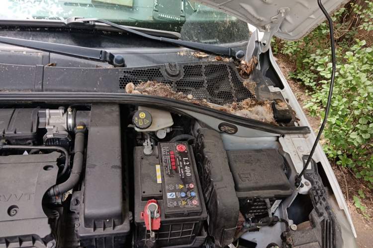 Used Peugeot 301 2016 1.6L Manual Comfort Edition Engine Bay Left