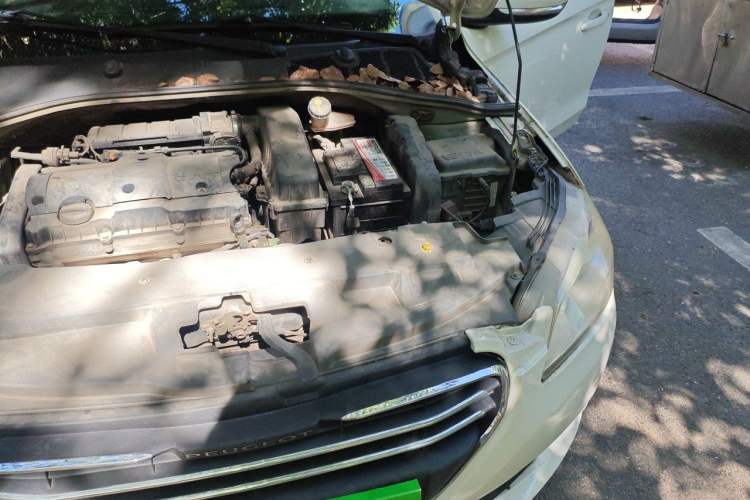 Used Peugeot 301 2016 1.6L Manual Comfort Edition Engine Bay Left