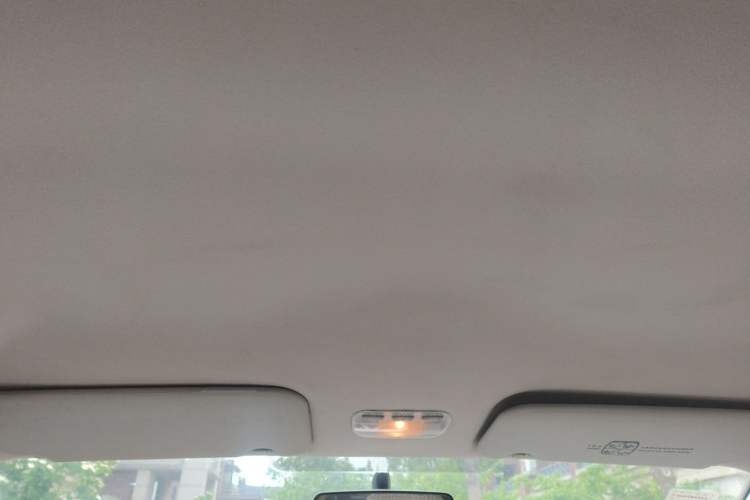 Used Peugeot 307 2010 Sedan 1.6L Automatic Comfort Edition Headliner