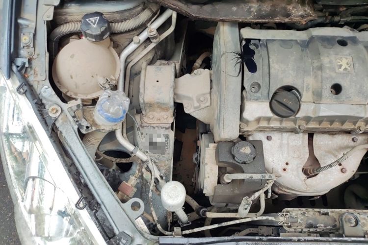 Used Peugeot 307 2010 Sedan 1.6L Manual Comfort Edition Engine Bay Right