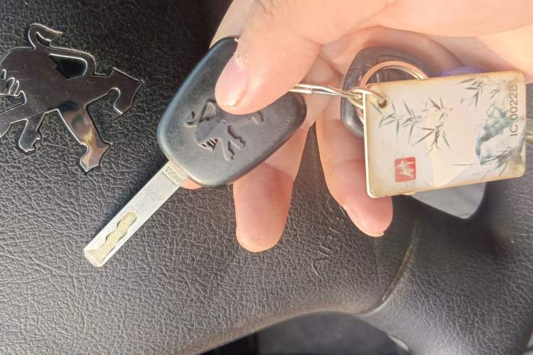 Used Peugeot 307 2011 1.6L Manual CROSS Vehicle Key