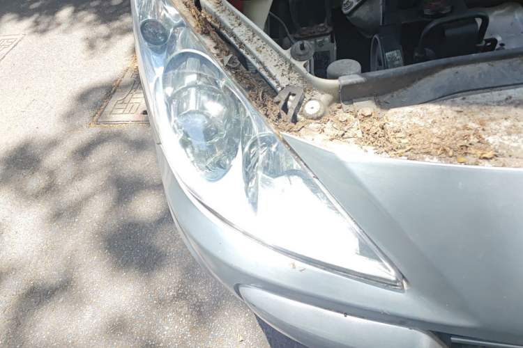 Used Peugeot 307 2012 Hatchback 1.6L Automatic Comfort Edition Right Front Headlight