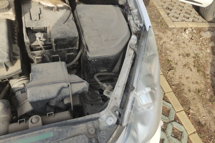 Used Peugeot 307 2012 Hatchback 1.6L Manual Comfort Edition Engine Bay Left