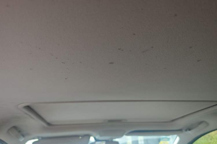 Used Peugeot 307 2013 Hatchback 1.6L Manual Comfort Edition Headliner