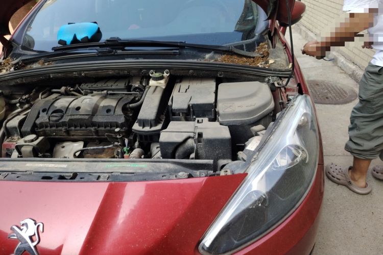 Used Peugeot 308 2012 1.6L Automatic YouShang Model Engine Bay Left