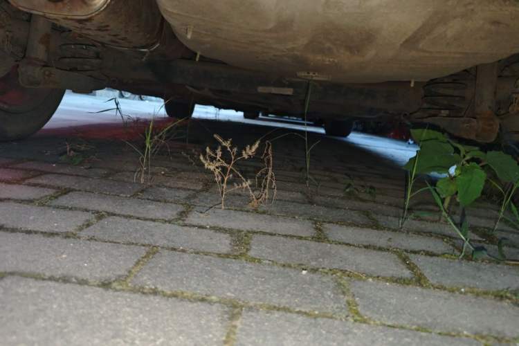 Used Peugeot 308 2012 1.6L Automatic YouShang Model Chassis Rear