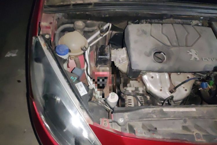 Used Peugeot 308 2013 1.6L Automatic YouShang Model Engine Bay Right