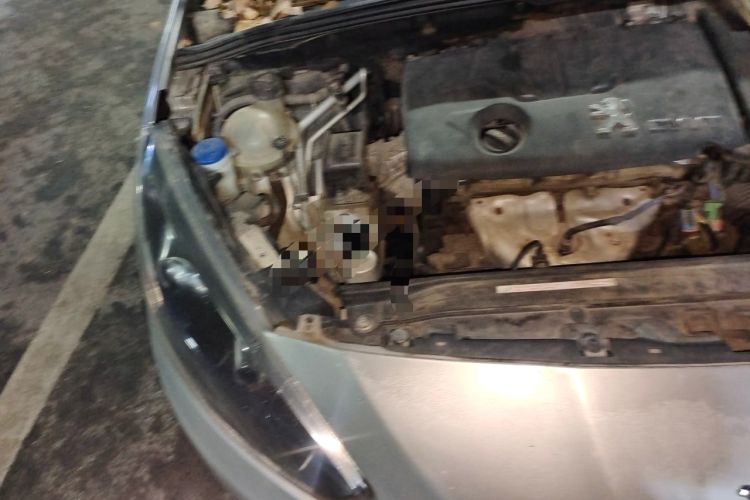 Used Peugeot 308 2013 1.6L Manual YouShang Model Engine Bay Right