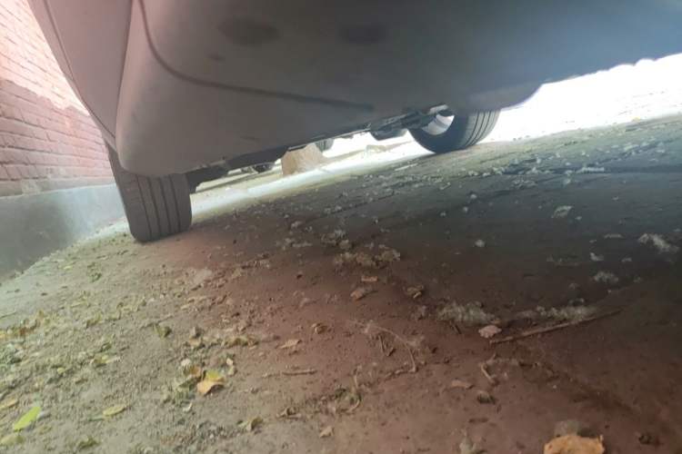 Used Peugeot 308 2013 2.0L Automatic Luxury Model Chassis Front Right