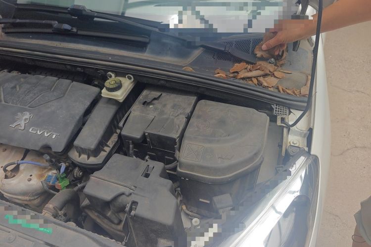 Used Peugeot 308 2013 1.6L Manual YouShang Model Engine Bay Left