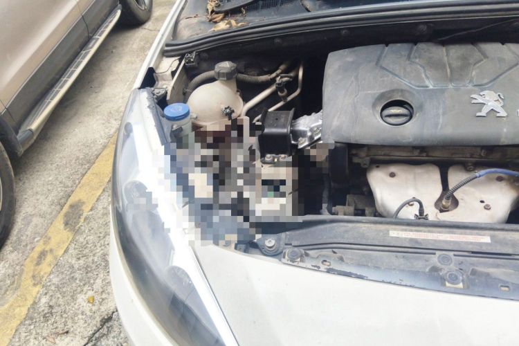 Used Peugeot 308 2013 1.6L Automatic YouShang Model Engine Bay Right