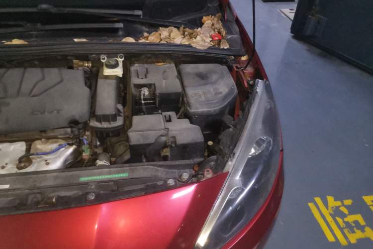 Used Peugeot 308 2014 Enjoy Edition Classic 1.6L Automatic Premium Model Engine Bay Left