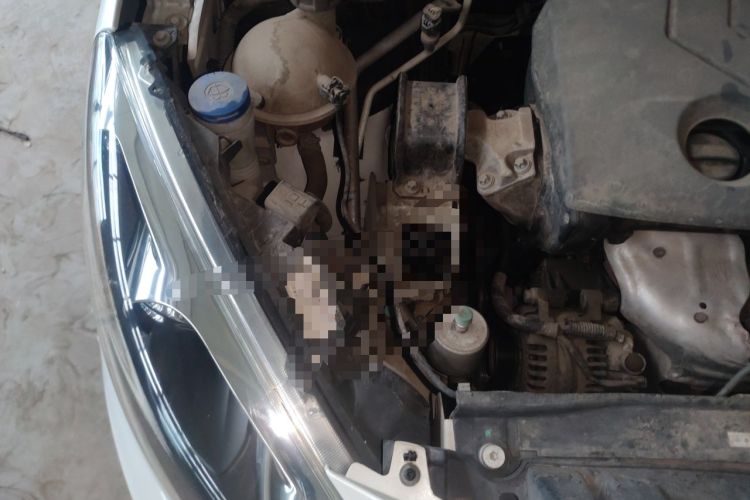 Used Peugeot 308 2014 Enjoy Edition Classic 1.6L Manual YouShang Model Engine Bay Right