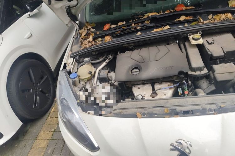 Used Peugeot 308 2014 Enjoy Edition Classic 1.6L Manual YouShang Model Engine Bay Right