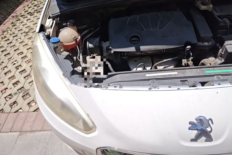 Used Peugeot 308 2014 Enjoy Edition Classic 1.6L Manual YouShang Model Engine Bay Right