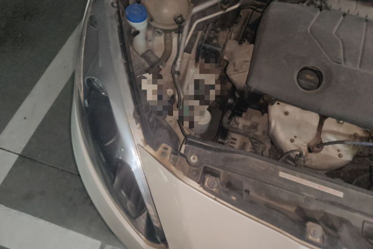 Used Peugeot 308 2014 Enjoy Edition Classic 1.6L Manual YouShang Model Engine Bay Right