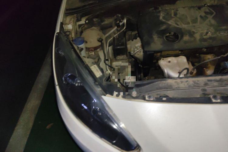 Used Peugeot 308 2014 Enjoy Edition Classic 1.6L Automatic Premium Model Engine Bay Right