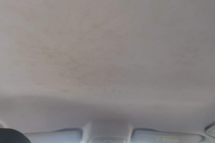 Used Peugeot 308 2016 1.6L Manual Fashion Edition Headliner