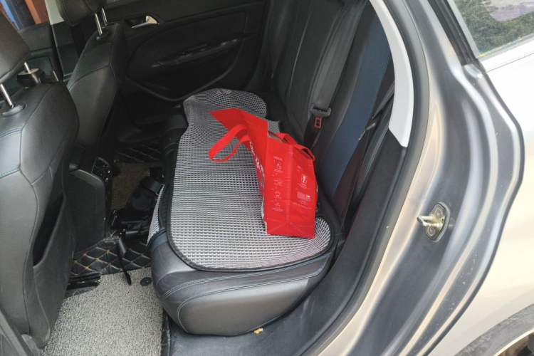 Used Peugeot 308 2016 350THP Automatic Prestige Edition Left Rear Seat