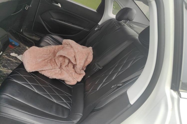 Used Peugeot 308 2016 1.6L Automatic Luxury Edition Left Rear Seat