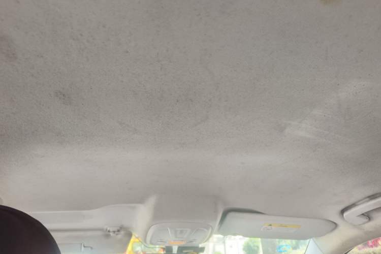 Used Peugeot 308 2018 1.6L Manual Fashion Edition Headliner
