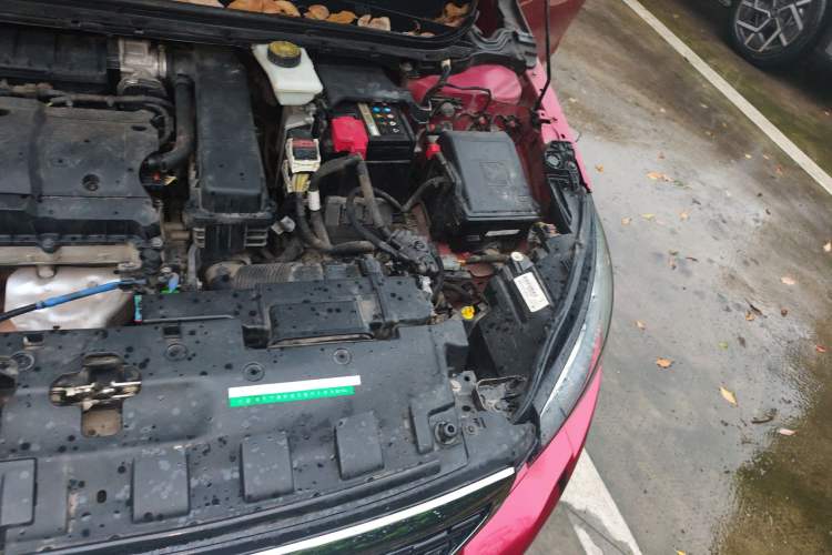 Used Peugeot 308 2019 1.6L Manual Fashion Edition China V Standard Engine Bay Left