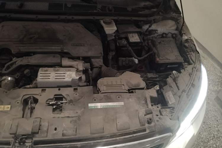 Used Peugeot 308 2019 230THP Automatic Luxury Edition China VI Standard Engine Bay Left