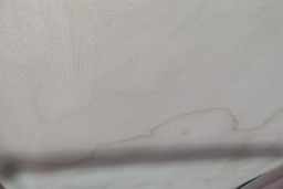 Thumbnail 19