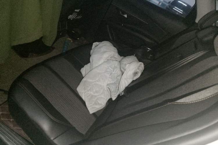 Used Peugeot 4008 2017 350THP Elite Edition Left Rear Seat