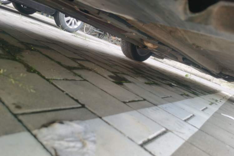 Used Peugeot 4008 2018 350THP Elite Edition Chassis Rear Right