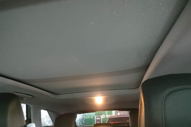Used Peugeot 4008 2018 350THP Elite Edition Headliner