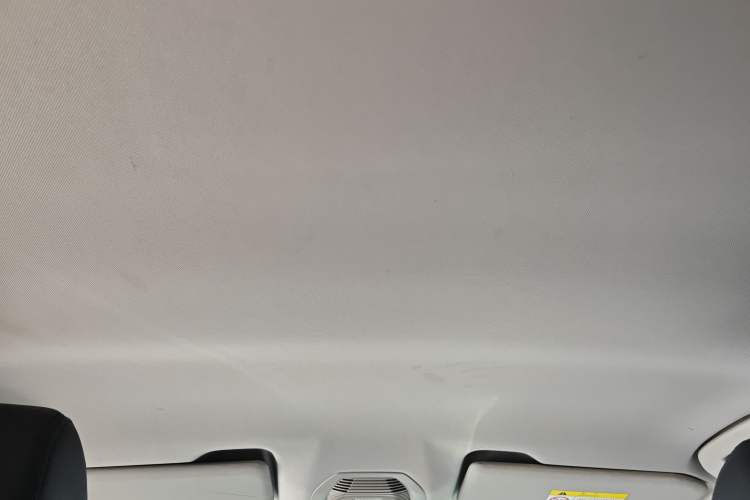 Used Peugeot 4008 2019 360THP Leading Edition Headliner