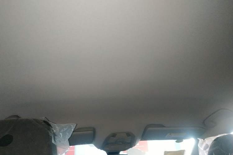 Used Peugeot 4008 2021 360THP Sharp Edition Headliner