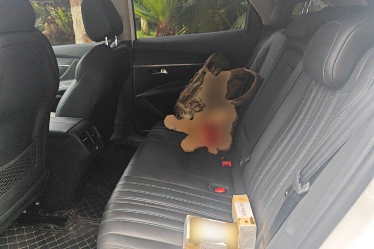 Used Peugeot 4008 2023 360THP Technology Edition Left Rear Seat