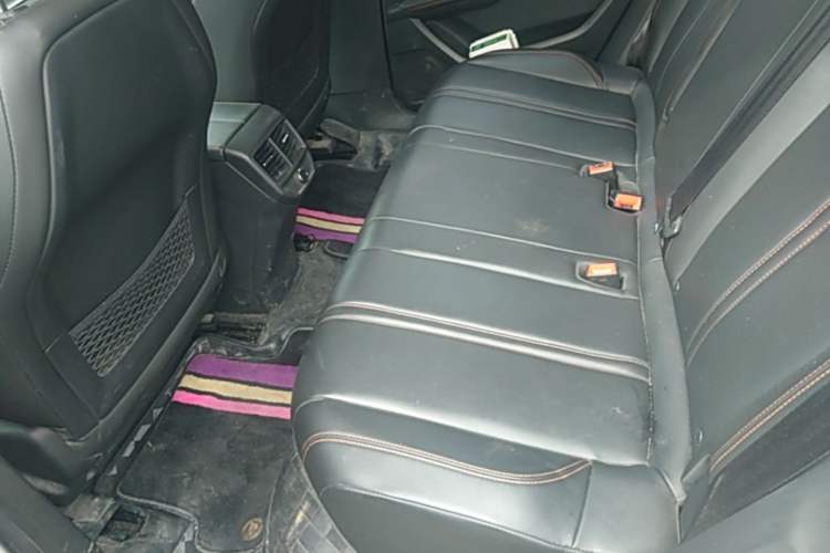 Used Peugeot 4008 New Energy 2020 1.6T PHEV Triple-Engine Luxury Edition Left Rear Seat