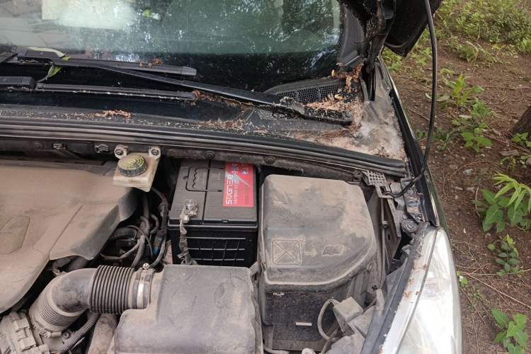 Used Peugeot 408 2011 2.0L Manual Comfort Edition Engine Bay Left