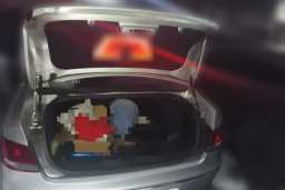 Thumbnail 20